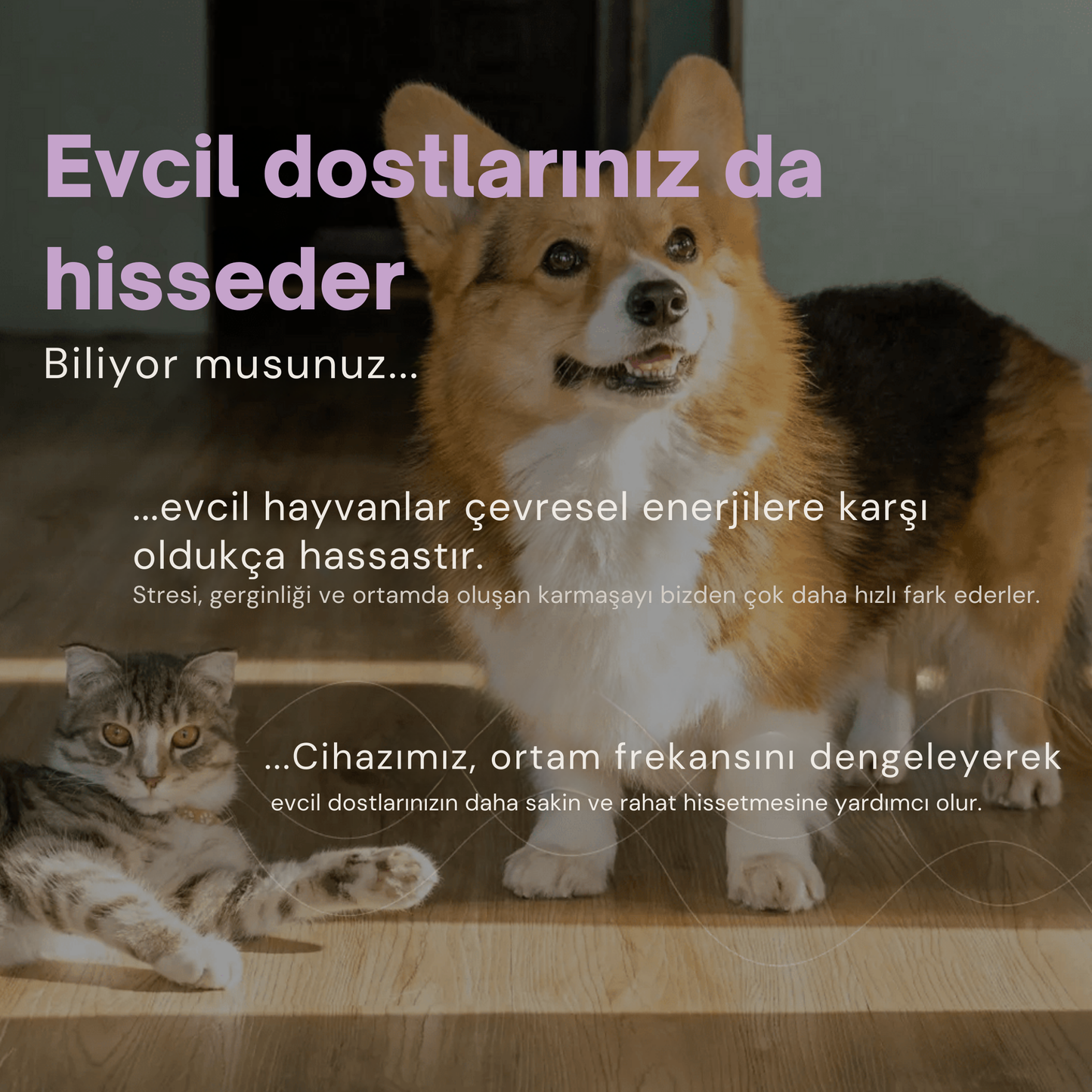 V2 Pro Frekans Cihazı