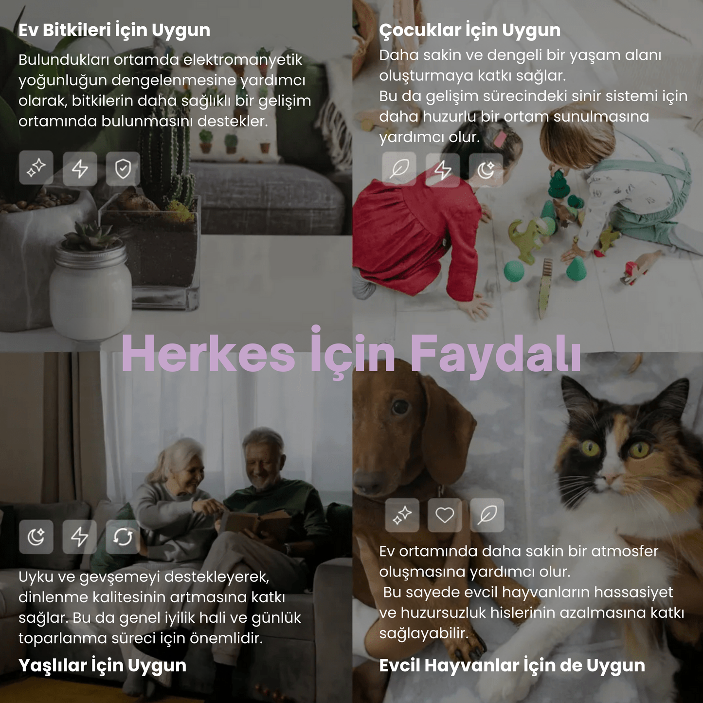 V2 Pro Frekans Cihazı