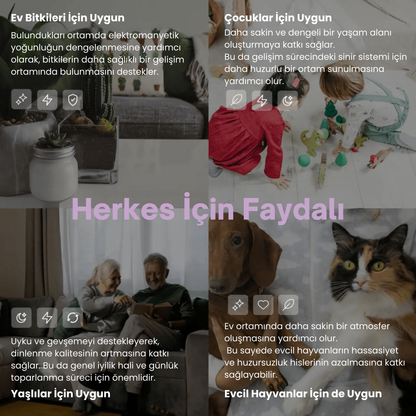 V2 Pro Frekans Cihazı